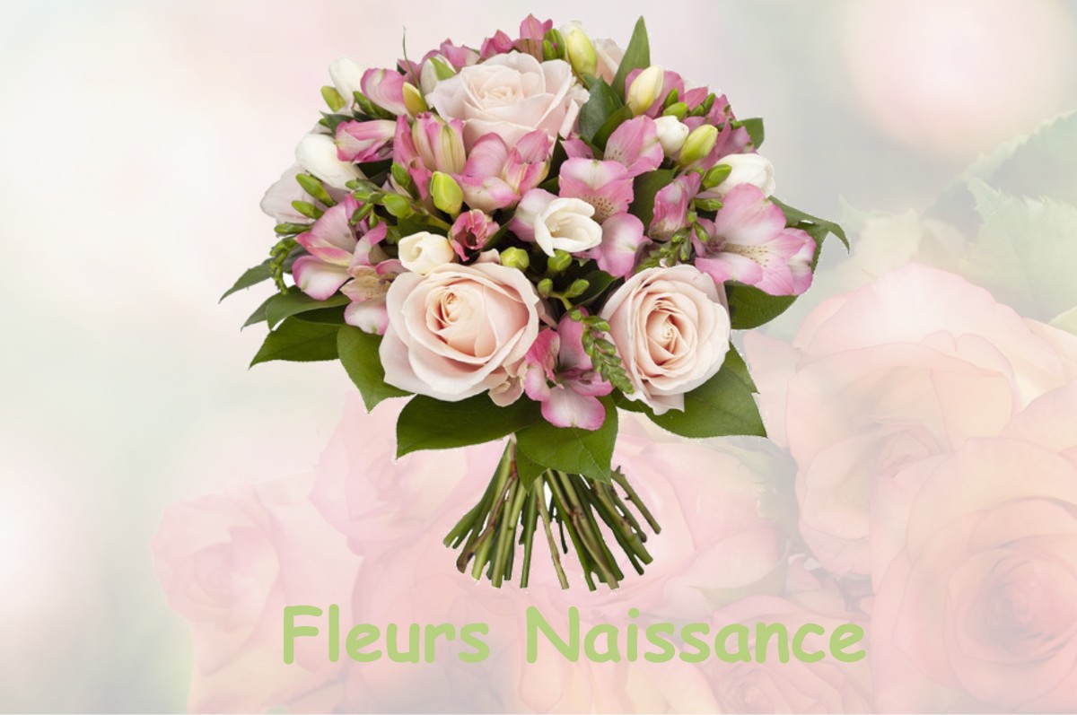 fleurs naissance CLUCY