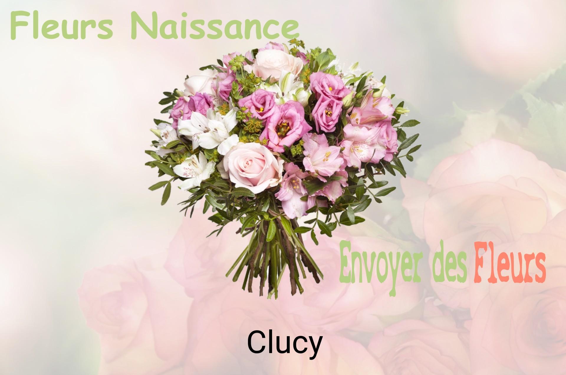 Bouquet de fleurs de naissance livré à Clucy