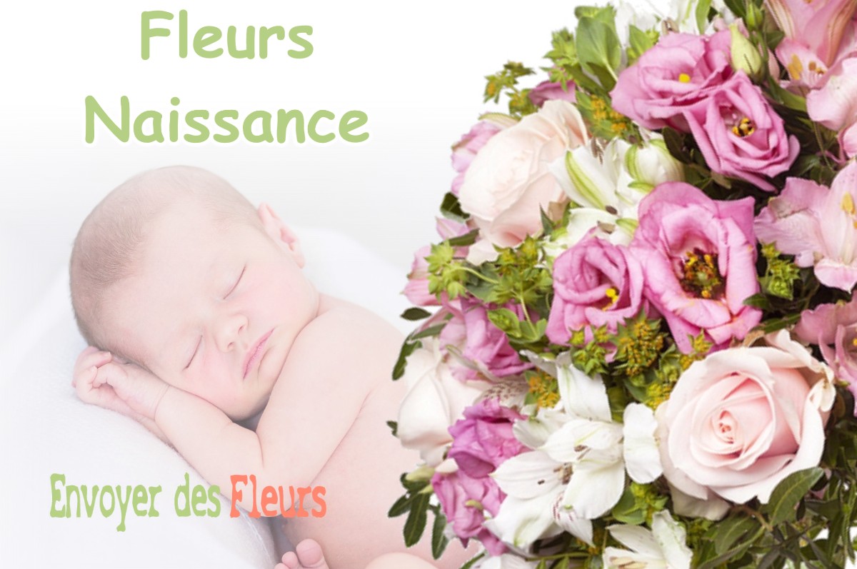 lIVRAISON FLEURS NAISSANCE à CLUCY